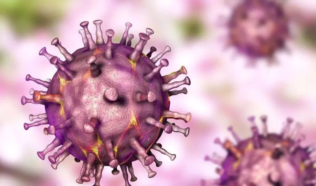 最新研究：非洲猪瘟病毒在抑制天然免疫机制和致病性方面取得新进展