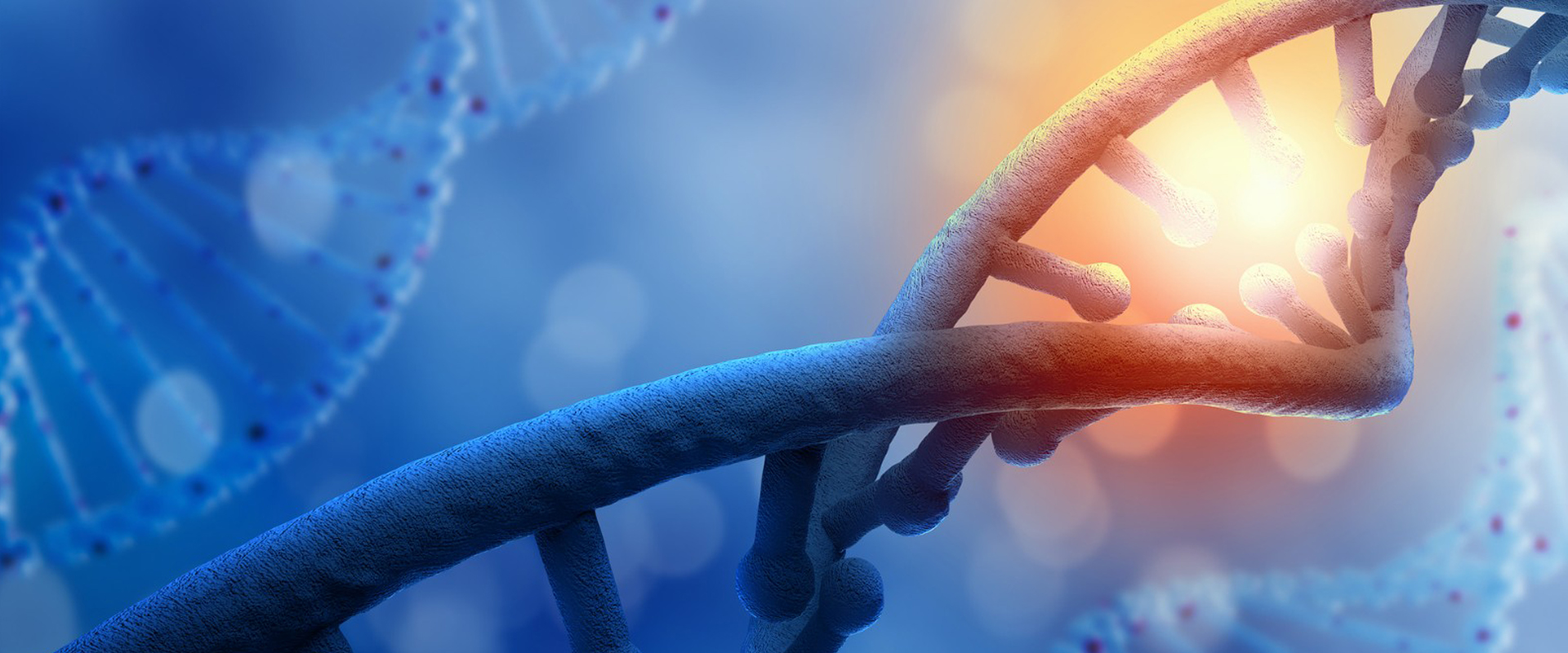 南京宁成生物科技有限公司