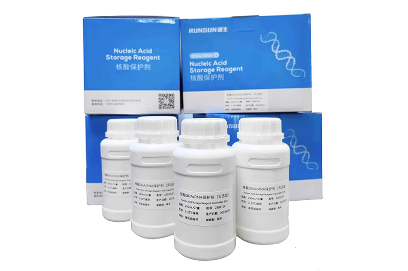 核酸DNA/RNA保护剂 （灭活型）