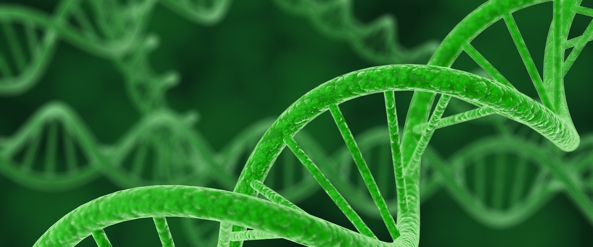 南京宁成生物科技有限公司