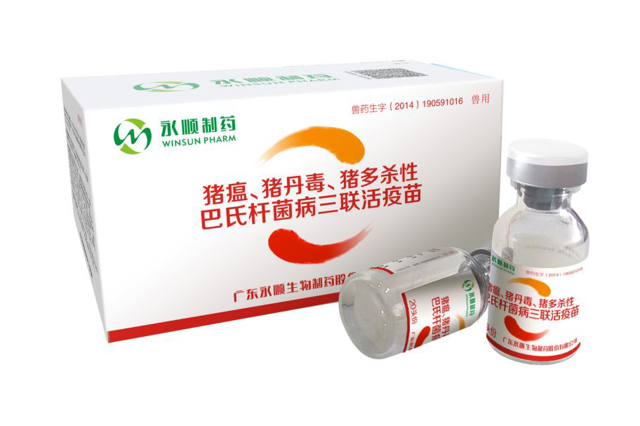 猪瘟、猪丹毒、猪多杀性巴氏杆菌病三联活疫苗